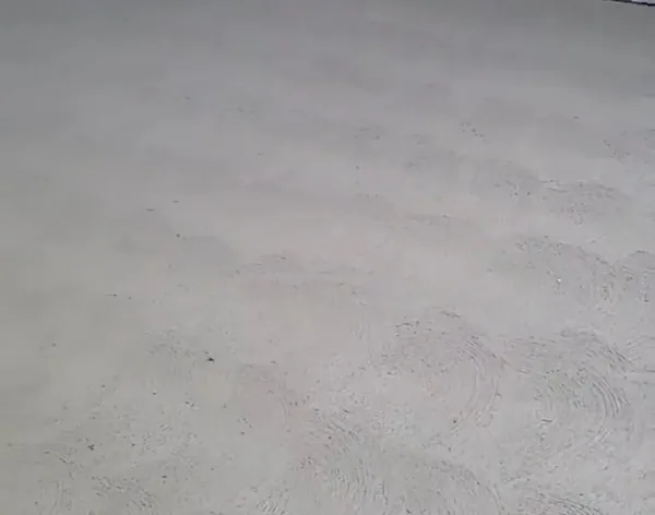 Sidewalk replacement Ballard